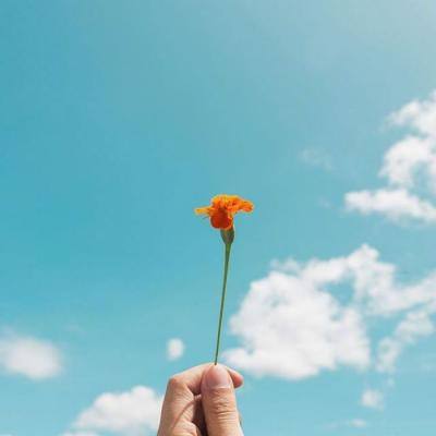 双彩网下载手机版