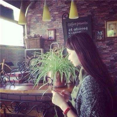 加拿大pc试玩平台下载手机版